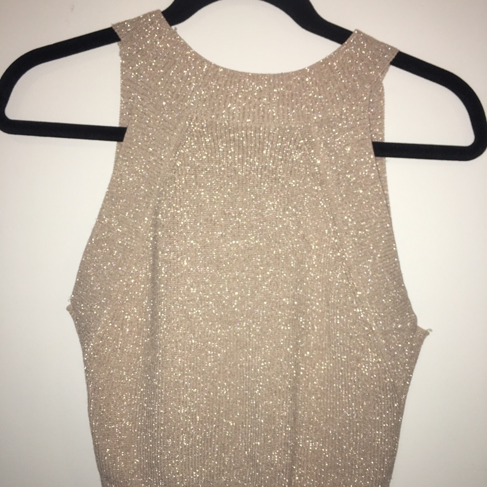 Aritzia Sparkly Sleeveless Blouse